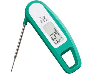 Javelin Thermometer - Mint