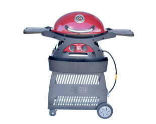 Ziggy by Ziegler & Brown Twin Grill LPG Classic on Cart