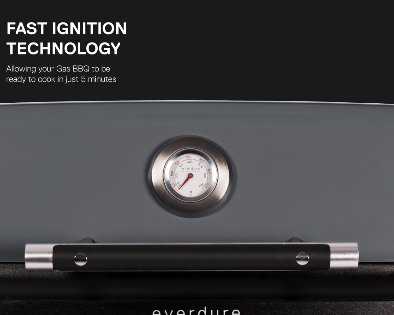 Everdure by Heston Blumenthal FORCE 2 Burner BBQ with Stand, , hi-res image number null