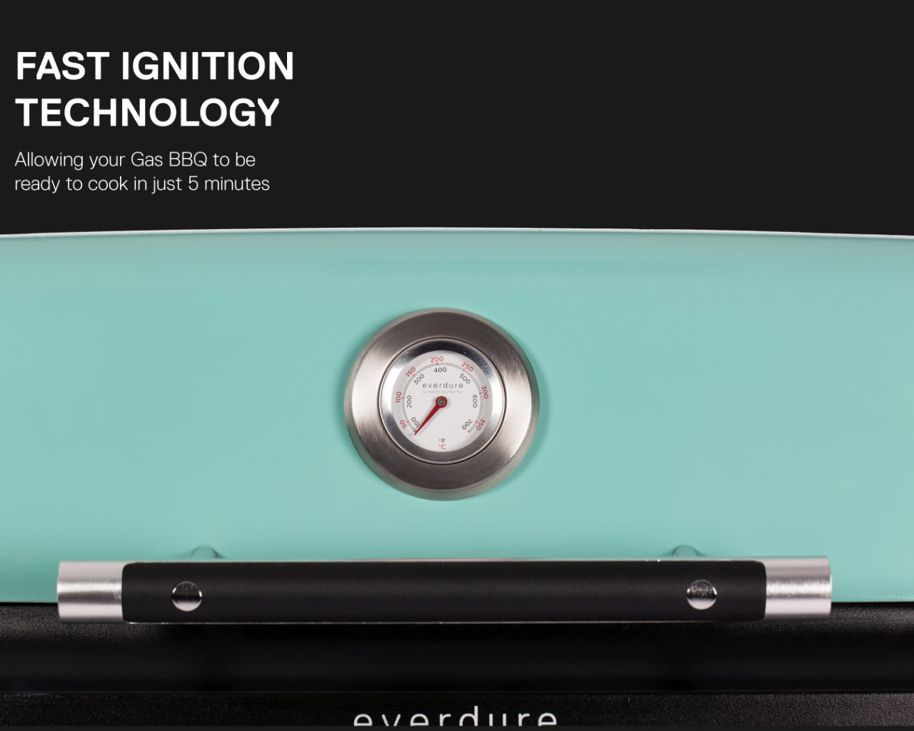 Everdure by Heston Blumenthal FORCE 2 Burner BBQ with Stand (Mint), Mint, hi-res image number null